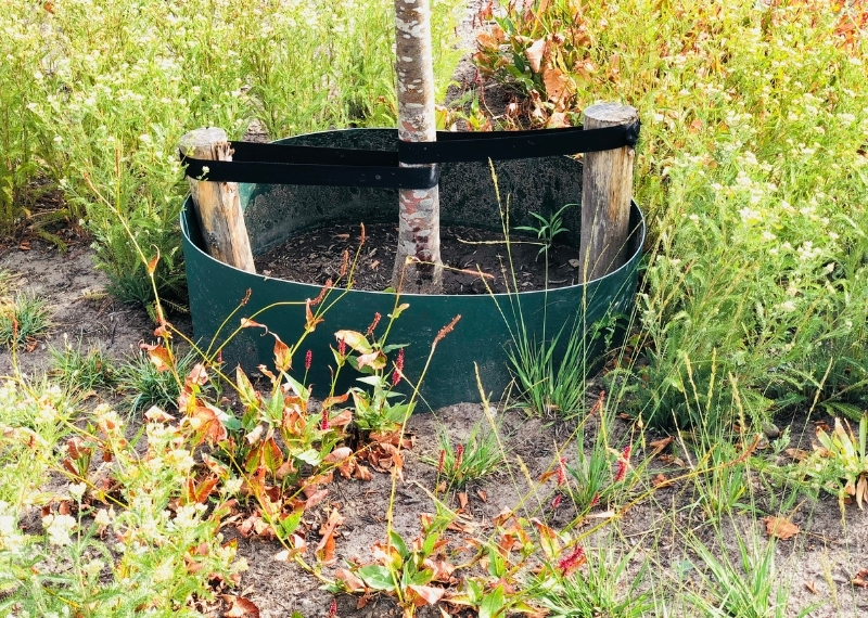 Onderwijsboulevard Hofplein Den Bosch gietranden - GreenMax (9)