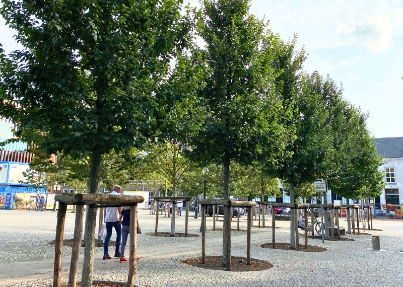 Parade s-Hertogenbosch aeration - GreenMax (1)