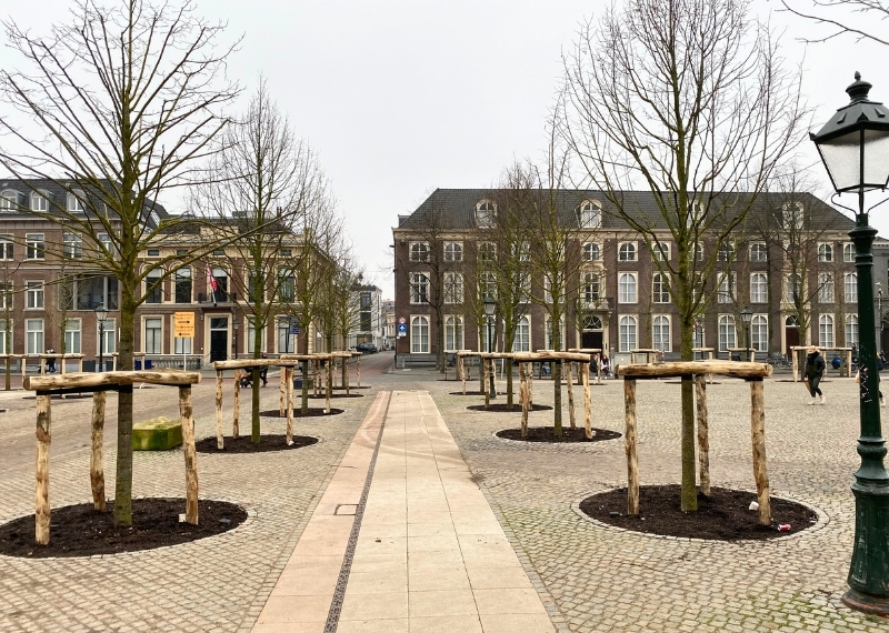 Parade s-Hertogenbosch aeration - GreenMax (2)