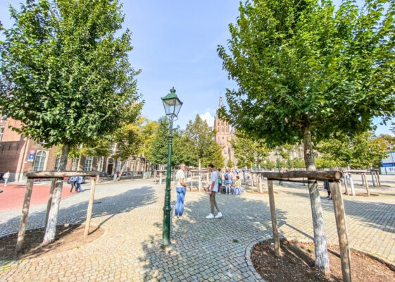 Parade s-Hertogenbosch aeration - GreenMax (3)