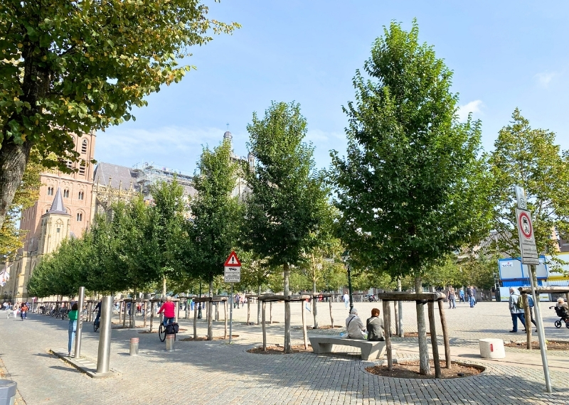 Parade s-Hertogenbosch aeration - GreenMax (7)