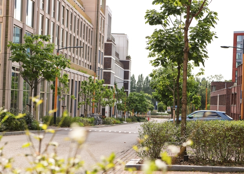 Plantsoen van Boedapest - Leidsche Rijn Centrum - GreenMax (10)