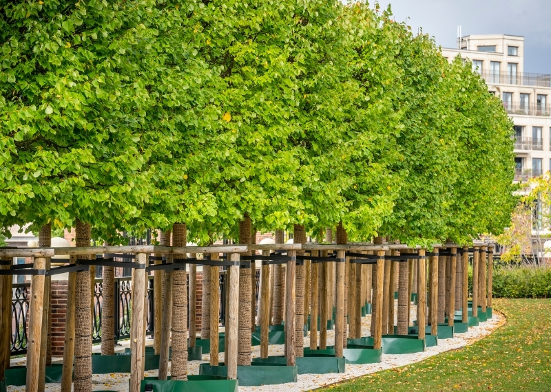 Plantsoen van Boedapest - Leidsche Rijn Centrum - GreenMax (4)