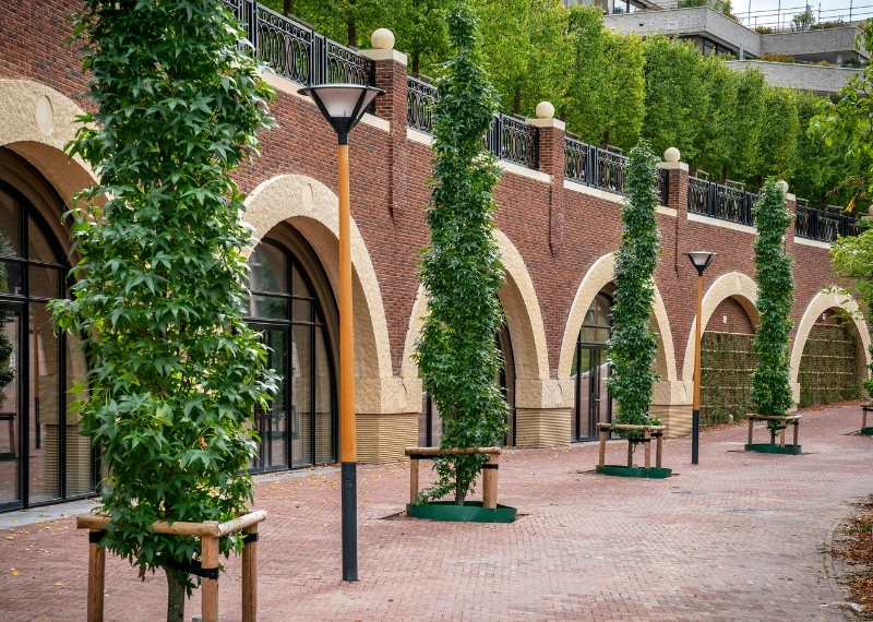 Plantsoen van Boedapest - Leidsche Rijn Centrum - GreenMax (5)