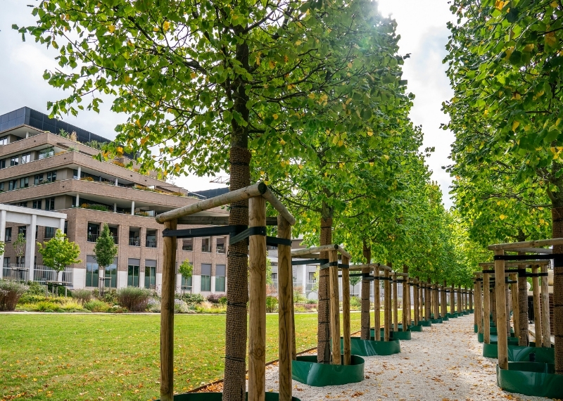 Plantsoen van Boedapest - Leidsche Rijn Centrum - GreenMax (6)