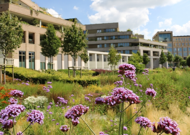 Plantsoen van Boedapest - Leidsche Rijn Centrum - GreenMax (7)