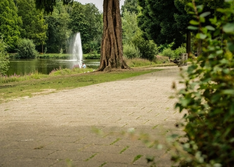 Root guidance GreenMax (2)