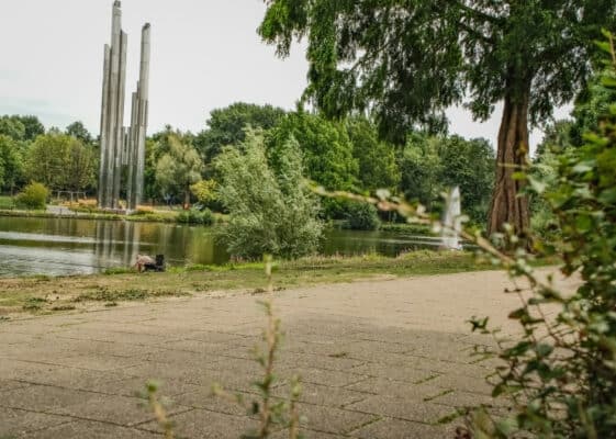 Root guidance Rode Kruislaan project GreenMax (1)