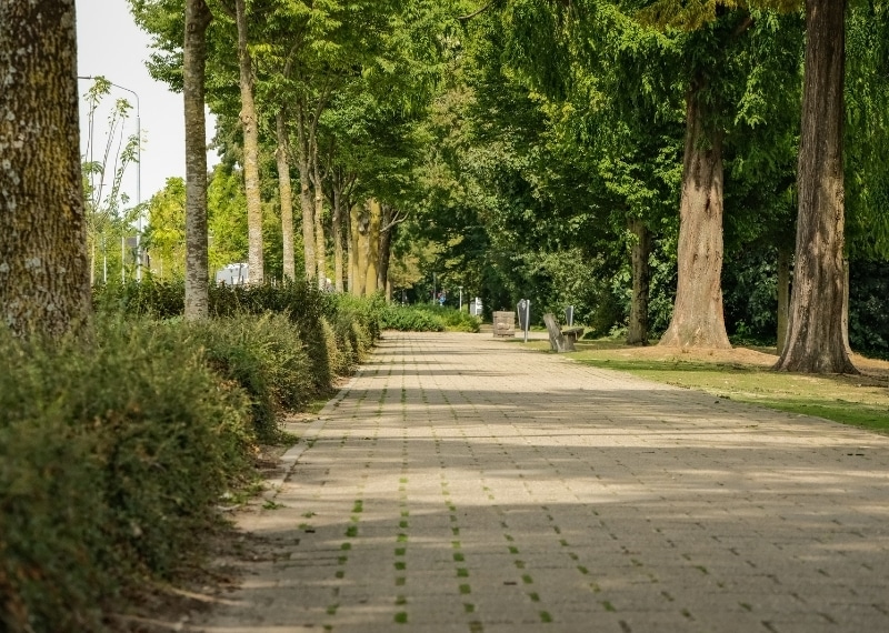 Root guidance Rode Kruislaan project GreenMax (3)