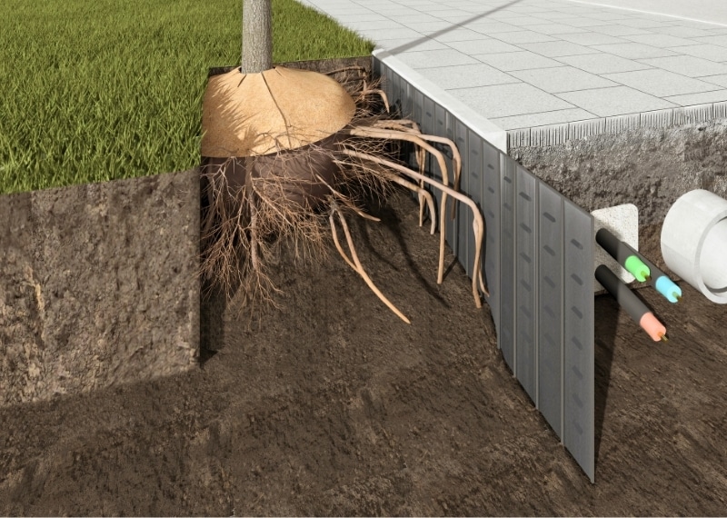 Tree Root Guiding root guidance GreenMax