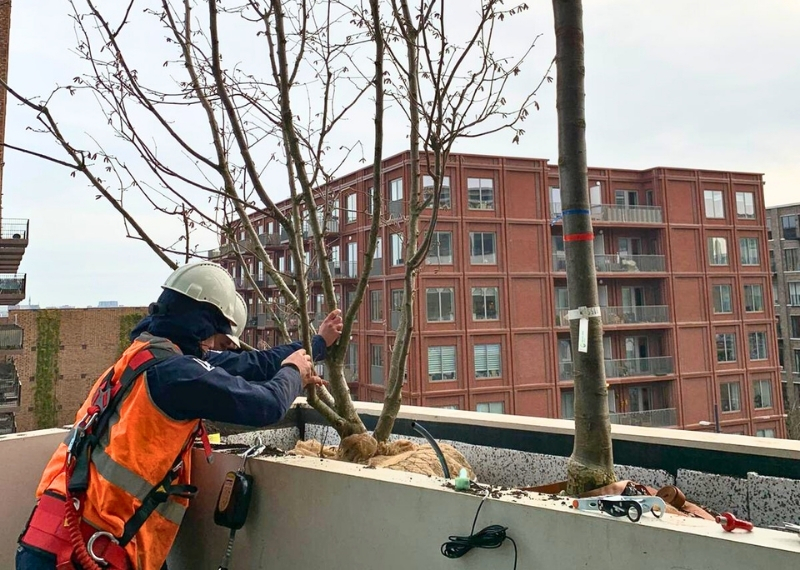 Trudo Toren Eindhoven Strijp S trees GreenMax (9)