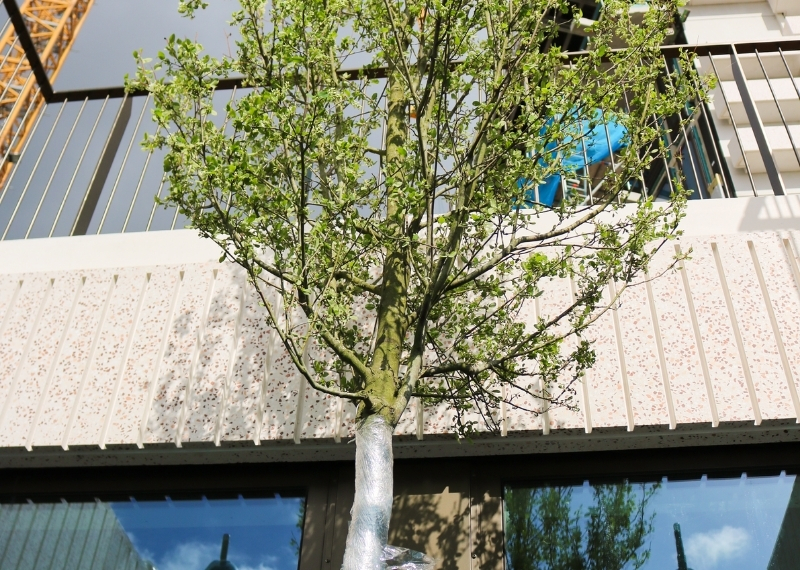 Wonderwoods trees GreenMax - root ball anchoring (6)