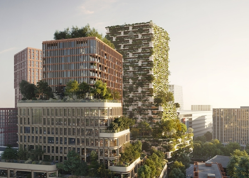 Wonderwoods trees GreenMax - root ball anchoring (9)