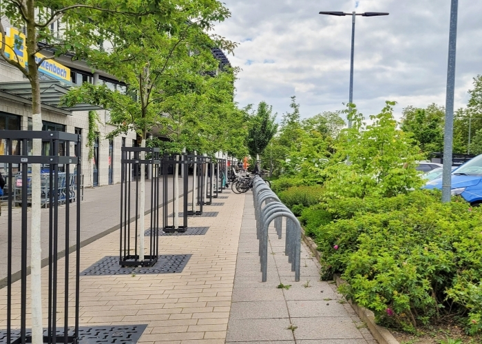 Dr.-Martin-Luther-King-Weg, Mainz - TreeParker - GreenMax - TreeBuilders (2)