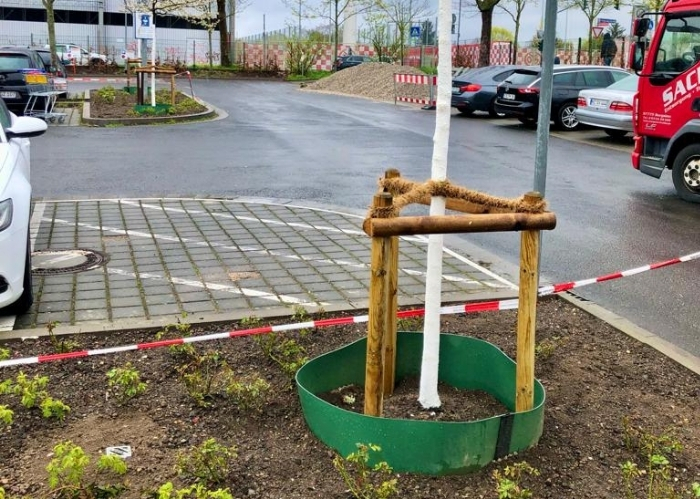 Dr.-Martin-Luther-King-Weg, Mainz - TreeParker - GreenMax - TreeBuilders (4)