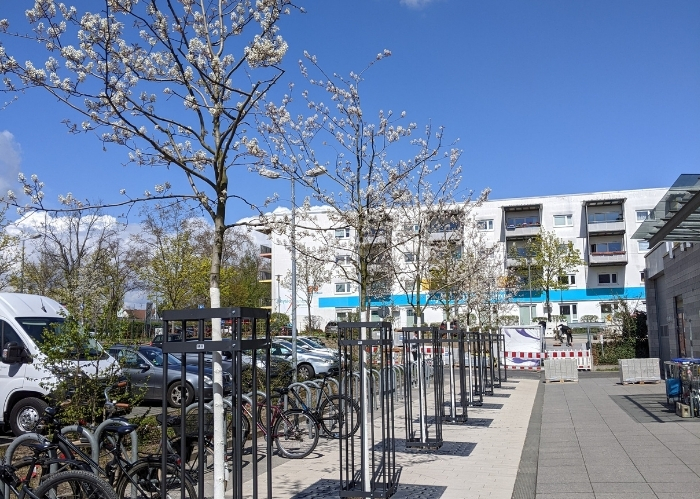 Dr.-Martin-Luther-King-Weg, Mainz - TreeParker - GreenMax - TreeBuilders (5)