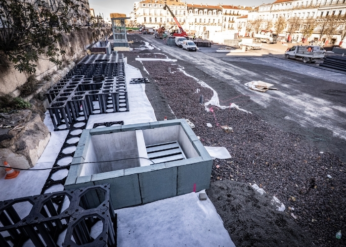Place Aristide Briand, Sète - GreenMax - TreeBuilders - TreeParker (10)