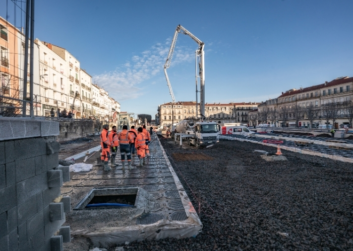 Place Aristide Briand, Sète - GreenMax - TreeBuilders - TreeParker (10)