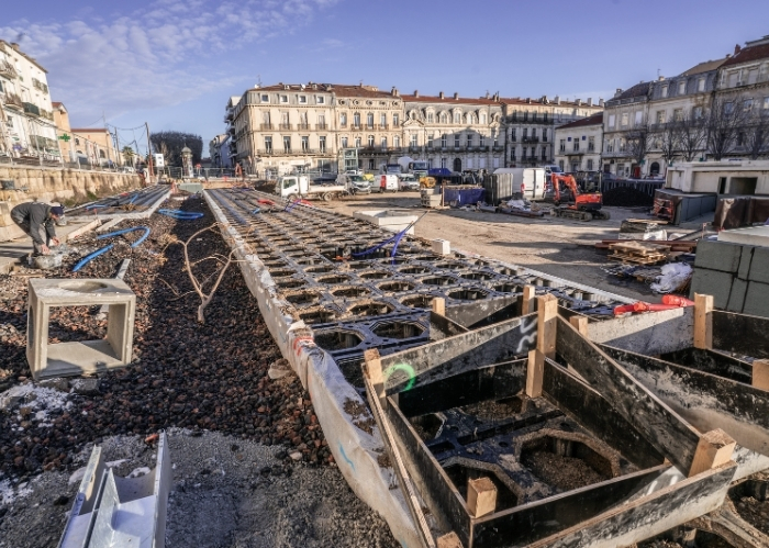 Place Aristide Briand, Sète - GreenMax - TreeBuilders - TreeParker (9)