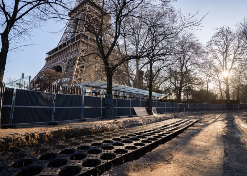 TreeParker Eiffel Tower GreenMax TreeBuilders