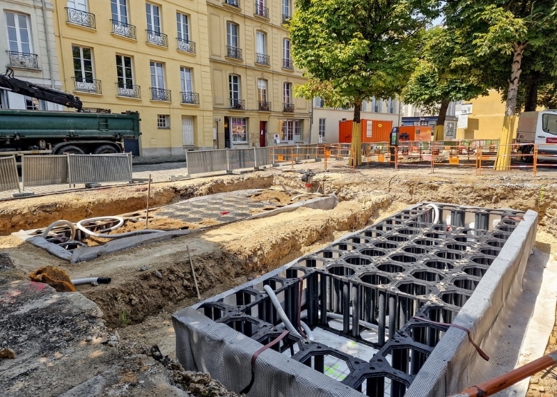 TreeParker Versailles - GreenMax France (3)