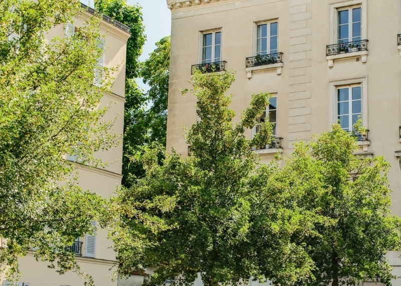 TreeParker Versailles - GreenMax France (7)