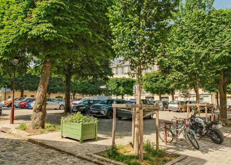 TreeParker Versailles - GreenMax France (8)