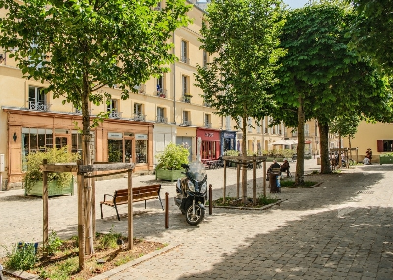 Versailles - TreeParker - GreenMax France