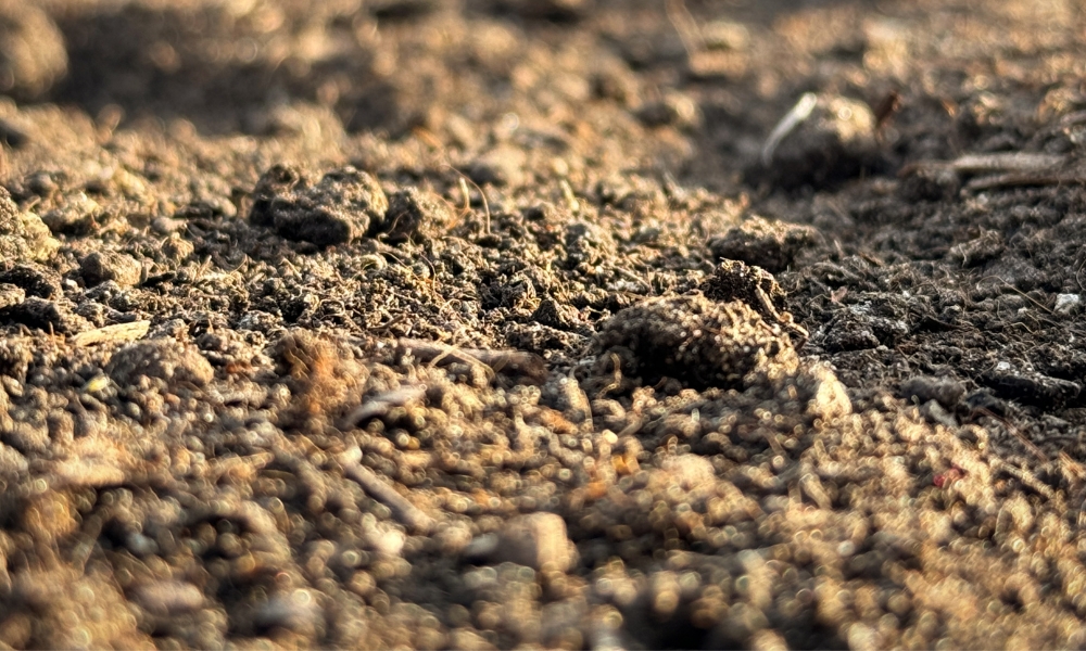 Wormenmest vermicompost - GreenGuard - GreenMax (1)