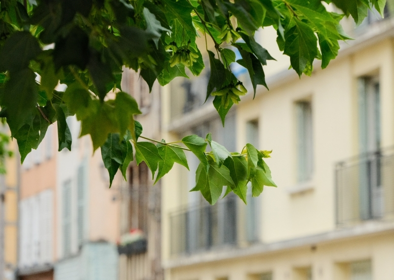 Quartier Turenne, Rue Turenne, Troyes, TreeParker