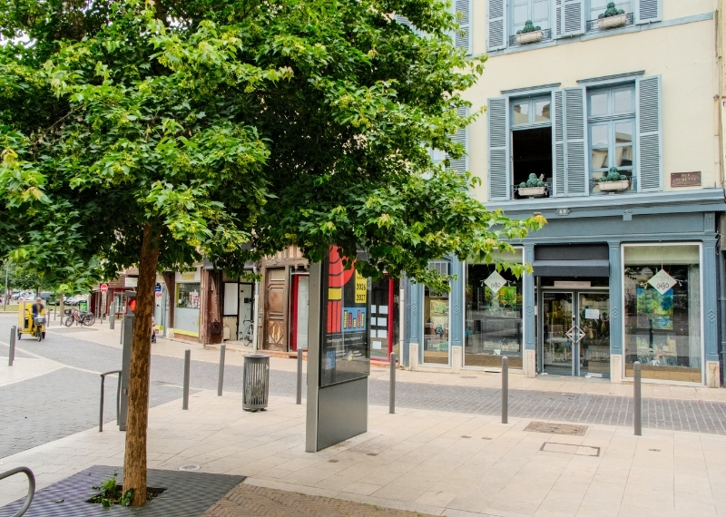 Quartier Turenne, Rue Turenne, Troyes, TreeParker