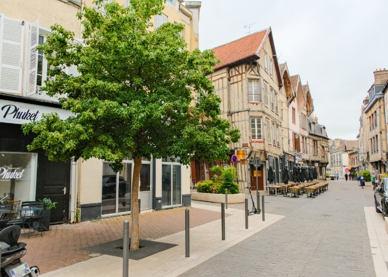 Quartier Turenne, Rue Turenne, Troyes, TreeParker
