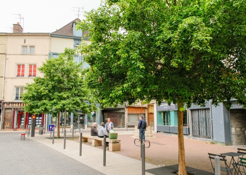 Quartier Turenne, Rue Turenne, Troyes, TreeParker