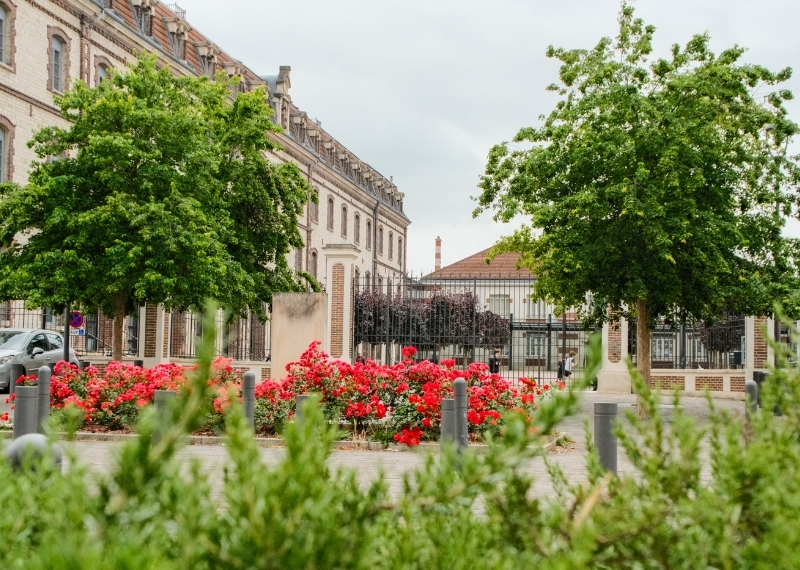 Quartier Turenne, Rue Turenne, Troyes, TreeParker