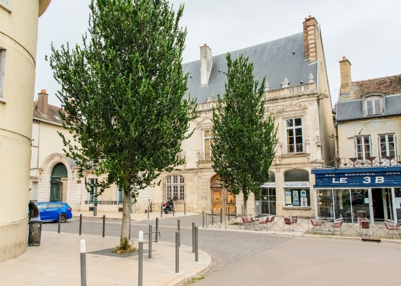 Quartier Turenne, Rue Turenne, Troyes, TreeParker