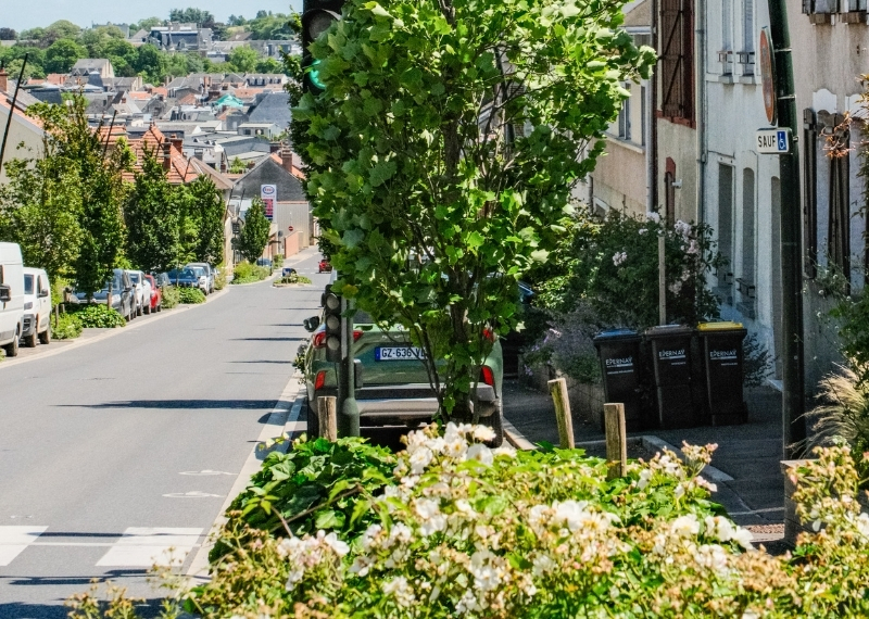 Avenue Jean Jaurès - Épernay - TreeParker - GreenMax (15)
