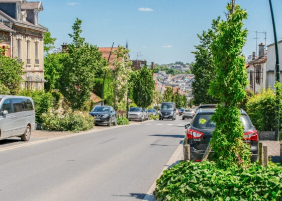Avenue Jean Jaurès - Épernay - TreeParker - GreenMax (18)