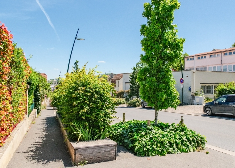 Avenue Jean Jaurès - Épernay - TreeParker - GreenMax (21)
