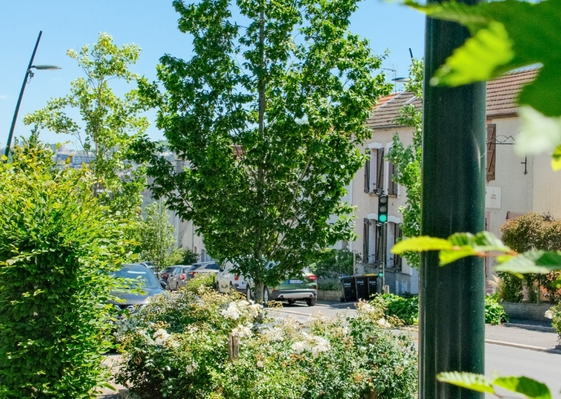 Avenue Jean Jaurès - Épernay - TreeParker - GreenMax (23)