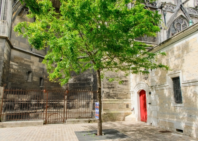 Cathédrale Saint-Pierre Saint-Paul - Troyes - GreenMax - TreeParker (1)