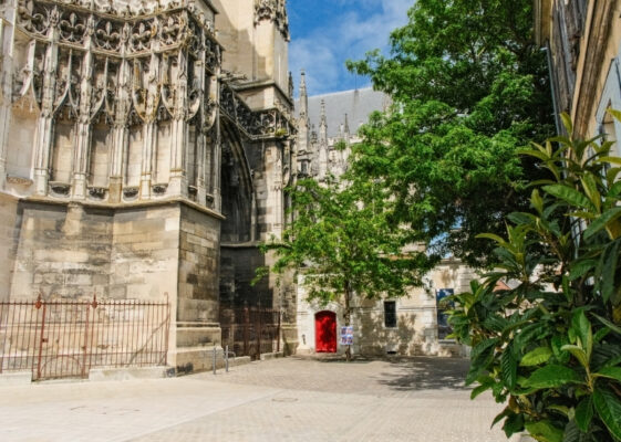 Cathédrale Saint-Pierre Saint-Paul - Troyes - GreenMax - TreeParker (12)