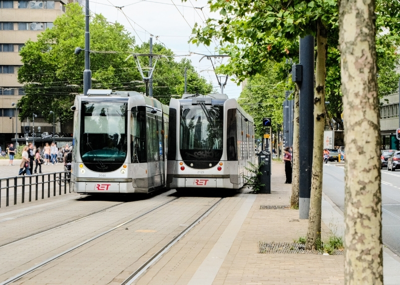 Coolsingel Rotterdam - GreenMax TreeBuilders - TreeParker - reconstruction - revitalising trees (10)