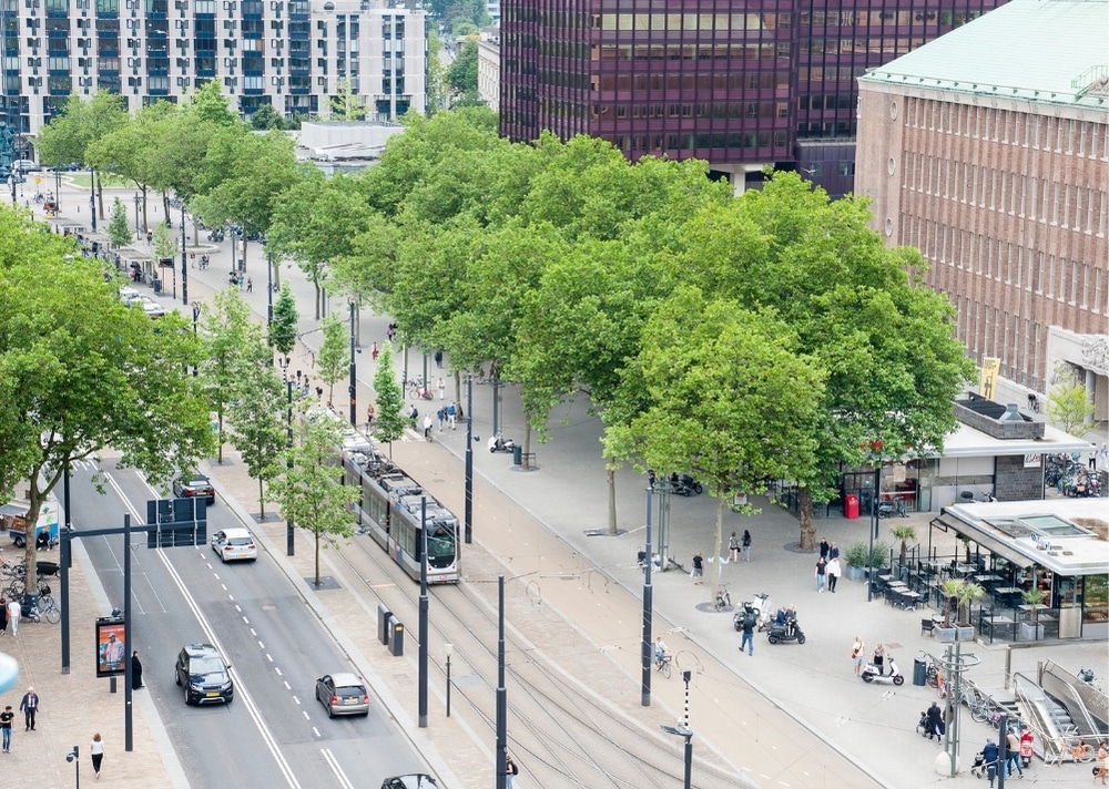 Coolsingel Rotterdam - GreenMax TreeBuilders - TreeParker - reconstruction - revitalising trees (10)