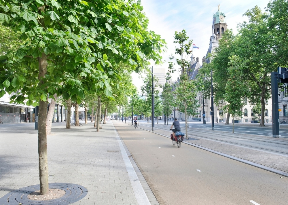 Coolsingel Rotterdam - GreenMax TreeBuilders - TreeParker - reconstruction - revitalising trees
