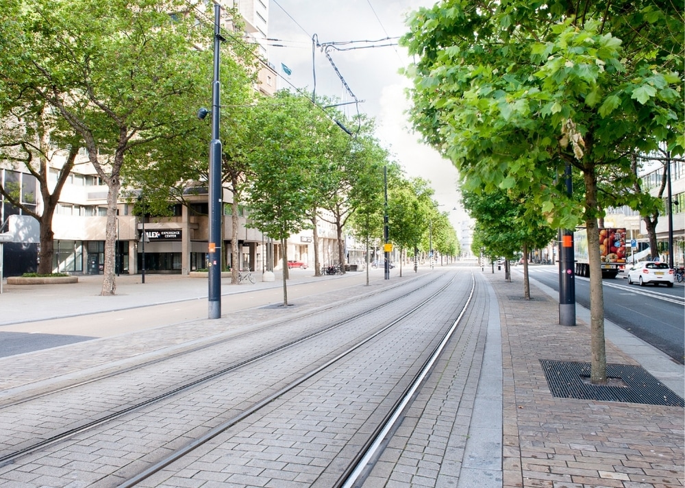 Coolsingel Rotterdam - GreenMax TreeBuilders - TreeParker - reconstruction - revitalising trees