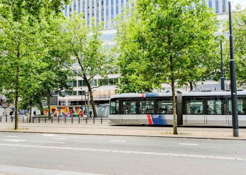 Coolsingel Rotterdam - GreenMax TreeBuilders - TreeParker - reconstruction - revitalising trees (13)