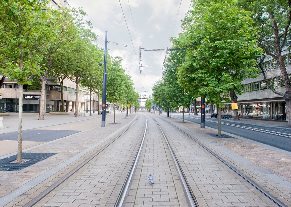 Coolsingel Rotterdam - GreenMax TreeBuilders - TreeParker - reconstruction - revitalising trees