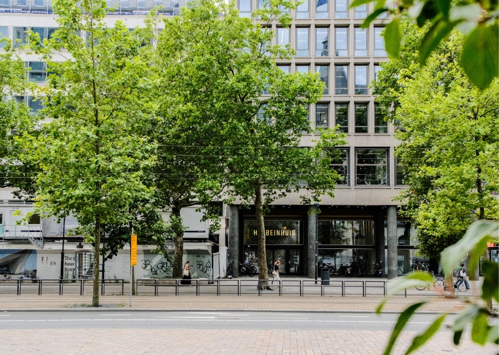 Coolsingel Rotterdam - GreenMax TreeBuilders - TreeParker - reconstruction - revitalising trees