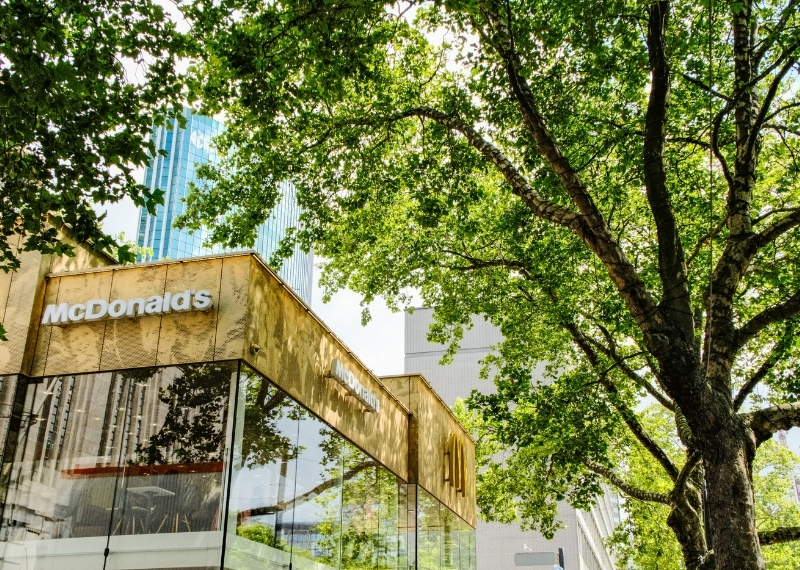 Coolsingel Rotterdam - GreenMax TreeBuilders - TreeParker - reconstruction - revitalising trees