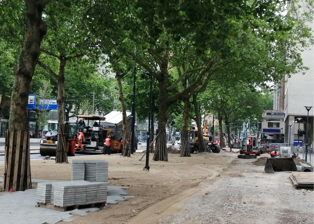 Coolsingel Rotterdam - GreenMax TreeBuilders - TreeParker - reconstruction - revitalising trees